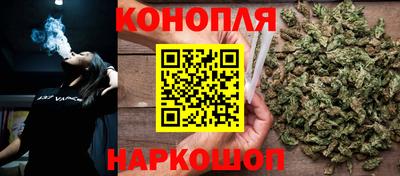 стафф Краснодар