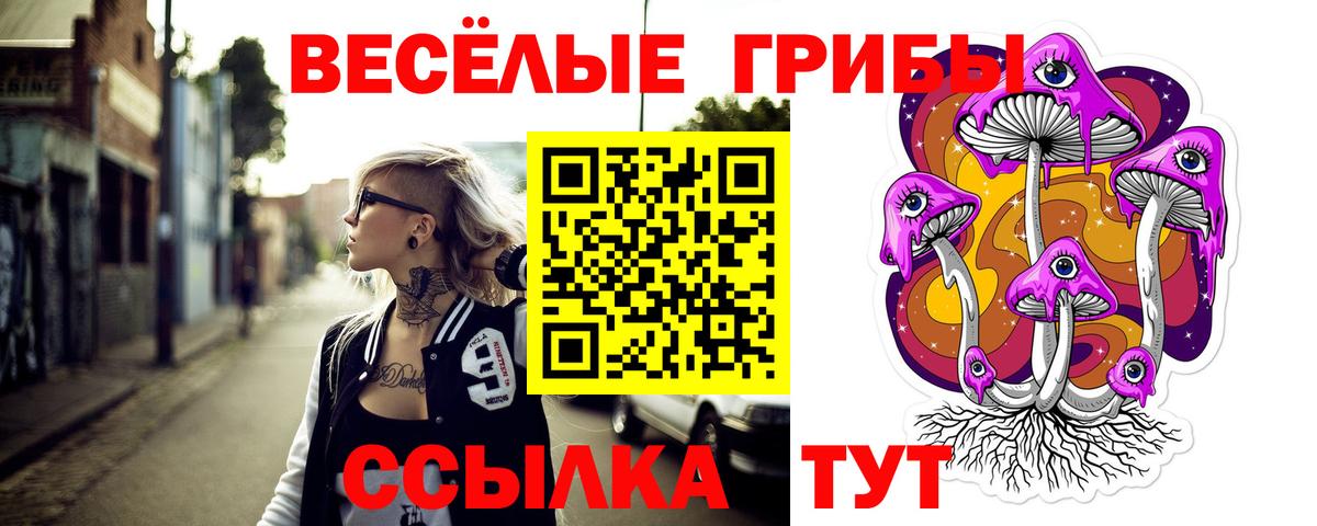 Псилоцибиновые грибы MAGIC MUSHROOMS Красногорск